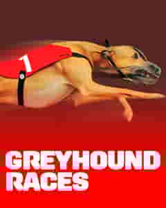 Greyhound Races
