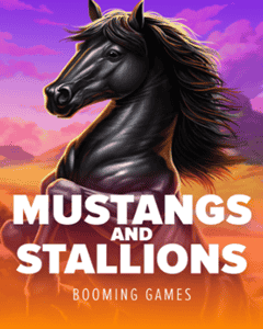 Mustangs and Stallions