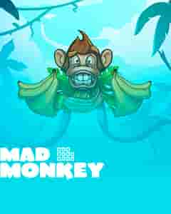 Mad Monkey