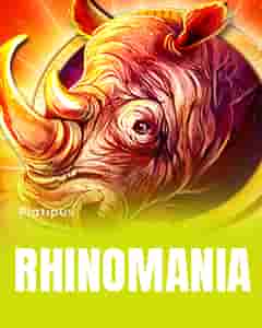 Rhino Mania