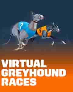 Virtual Greyhound Races
