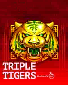 Triple Tigers