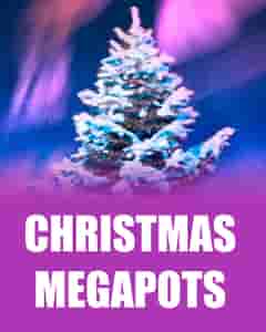 Christmas Megapots